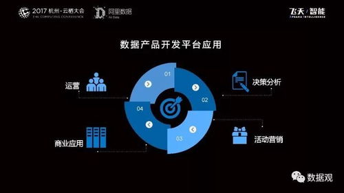 阿里數(shù)據(jù)服務(wù)產(chǎn)品開發(fā)與大數(shù)據(jù)體系演進(jìn)實錄